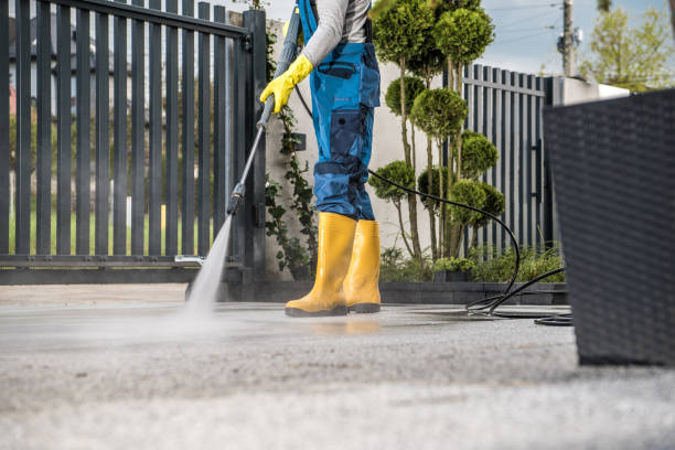 Animal Enclosure Cleaning in Providence Village, TX